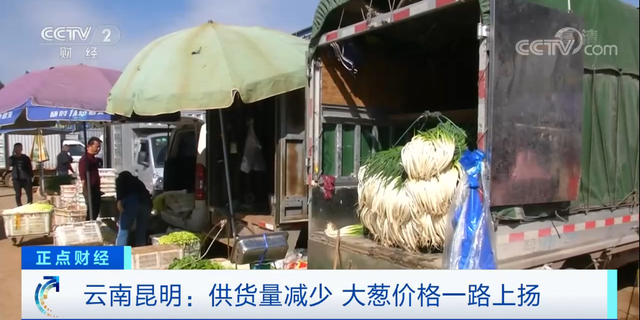 昆明市场大葱价格短短几天翻几倍 山东产大葱6.5元