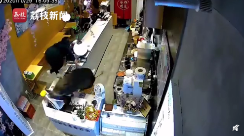 南京一头野猪窜进奶茶店 还能跃上一米高台 吓坏女店员