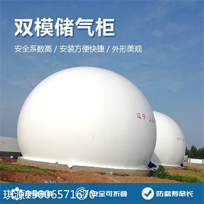 双膜气柜--2