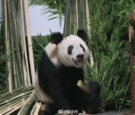 丫丫笑成了表情包 眼里有光