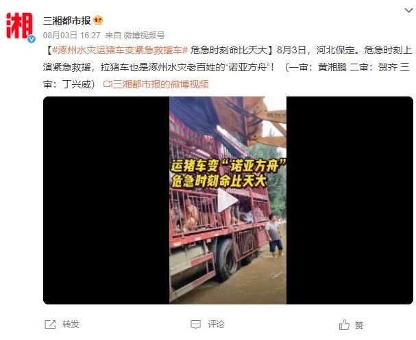 涿州洪灾 拉猪大货车变&ldquo;诺亚方舟&rdquo;
