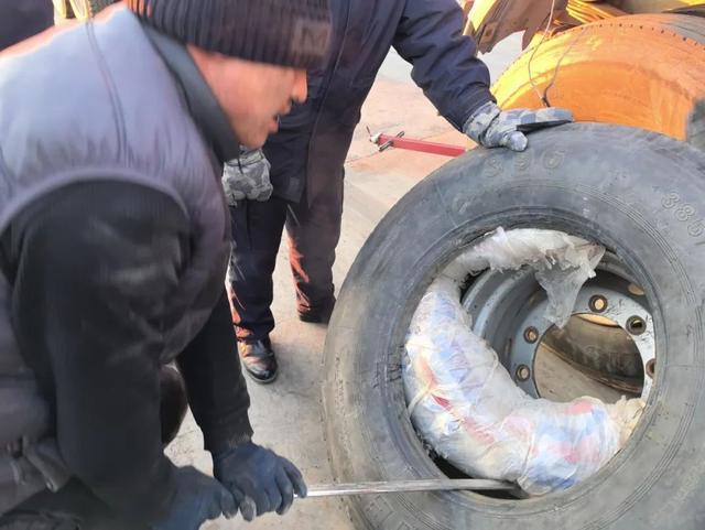 入境货车藏7具走私狼尸被海关查获