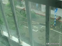 海南一面包车被风吹翻连滚两三圈 台风摩羯肆虐下的惊魂瞬间【热搜】