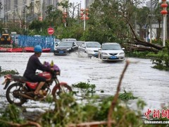 台风过境后的徐闻县：街头树木倒伏，灾后景象曝光【热搜】