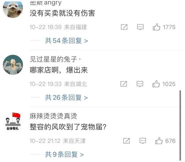 女子花18888元买泰迪 狗被画眼线