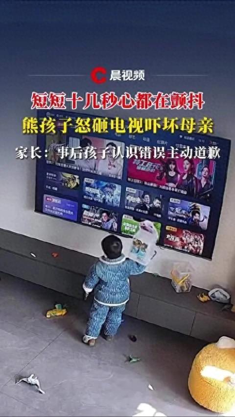 熊孩子怒砸电视 妈妈：心都在颤抖