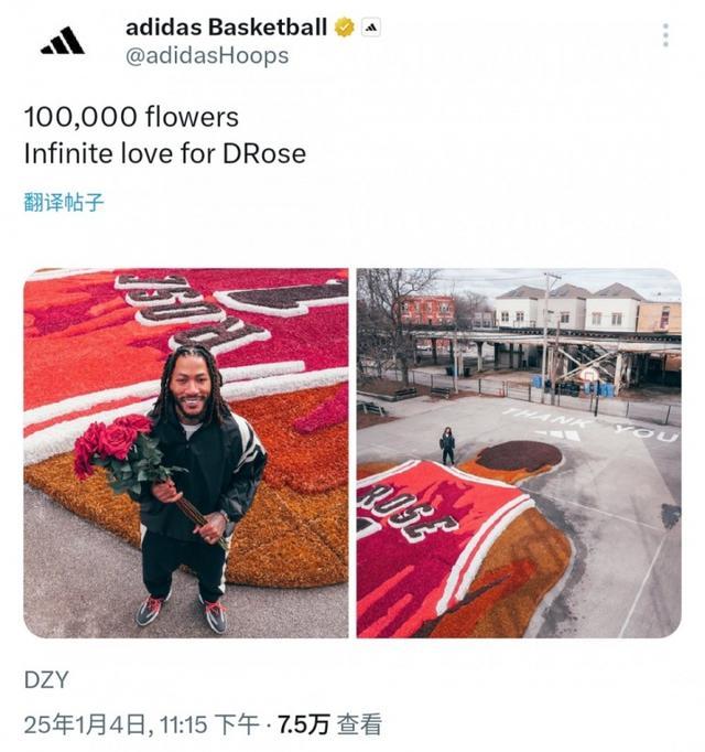 芝加哥球迷10万朵玫瑰致敬罗斯