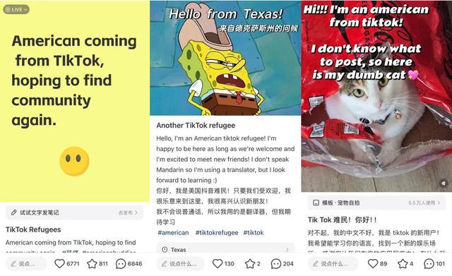 TikTok难民称中国网友非常热情