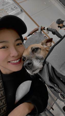 台湾艺人米可白拒绝安乐死爱犬