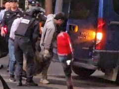 终于了解误闯南京大学野猪已被抓 送往红山动物园