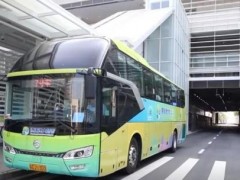 终于了解全国各地迎出游热潮 乐享假日风景民俗