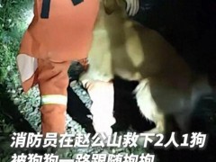 终于了解消防员救下2人1狗 被狗狗跟随抱抱 雨中温情救援