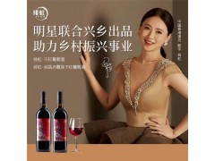 翁虹自创绯虹赤霞珠干红葡萄酒图1