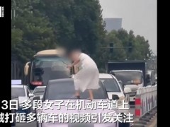 终于了解女子路上持械打砸多辆车被捕 肇事者已被警方逮捕