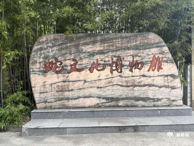 浙江一村养了上百万条蛇 蛇业兴村探秘