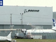 终于了解印度政府考虑停飞波音787 致命空难引发审查