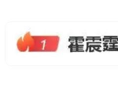 霍震霆曝儿子霍启仁已结婚 显见对儿媳的满意！