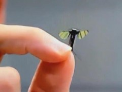 终于了解蚊子大小无人机问世意味着什么 未来战场侦察革新