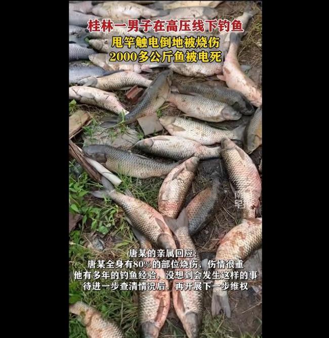 男子在高压线下钓鱼触电倒地被烧伤