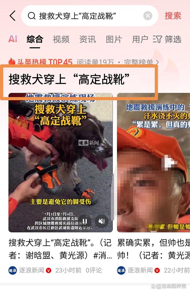 搜救犬穿上“高定战靴”