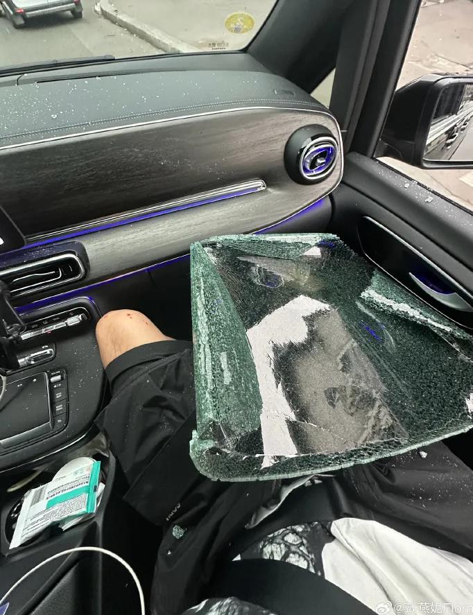 女星戴燕妮在巴黎被破窗抢劫