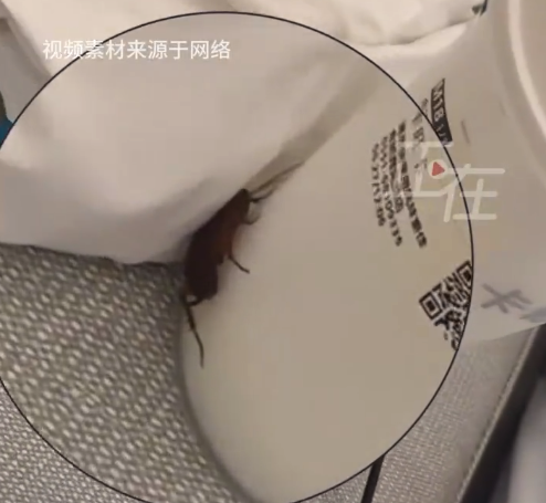 女子住亚朵酒店花洒漏水又遇蟑螂 酒店回应：可能是附着行李箱进入，后续会加强消杀