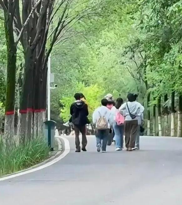 撒贝宁一家游敦煌莫高窟
