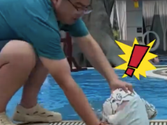 终于找到“爸爸带娃在泳池边玩水时 没想到宝宝一头扎进水”