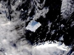 全球最大冰山面积减少超三分之一 科学家指出内容是什么？