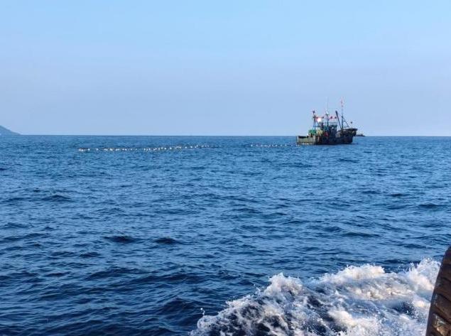 开海第一网捞8000斤 船长合不拢嘴