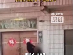 女子表演与蟒蛇亲嘴 未张嘴就遭攻击 场面十分惊悚！
