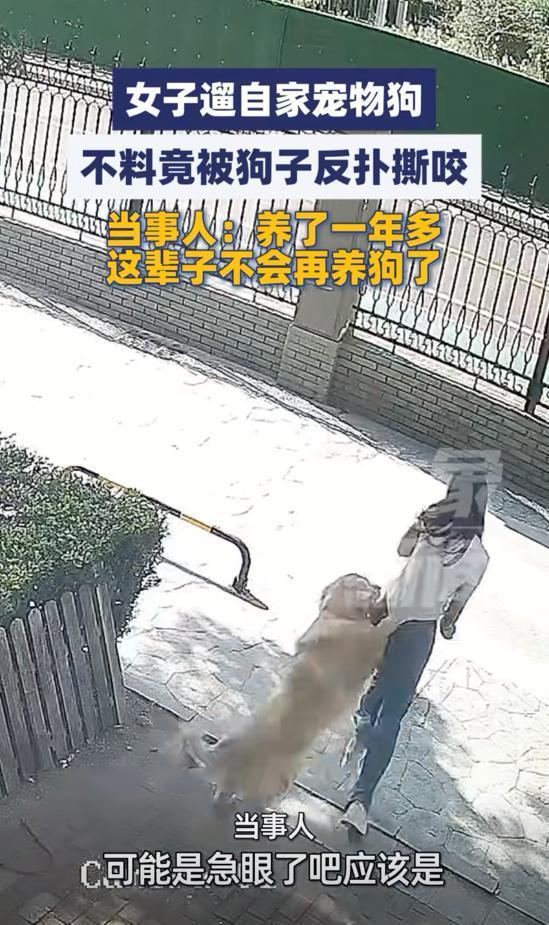 女子遛狗被咬称这辈子不会再养狗