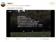 李亚鹏与海哈金喜离婚 究竟咋梗？