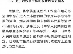 蔡国强烟花秀事件通报:多人被免职 究竟咋梗？