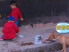 《爸爸去哪儿4》9年未解之谜破案了 究竟咋梗？