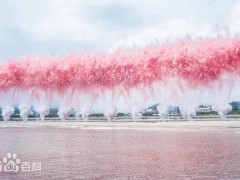蔡国强在巴黎再办烟花秀 白色焰火震撼人心