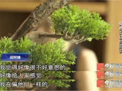 “业务员”让上千万养老钱打水漂 免费火锅背后的陷阱