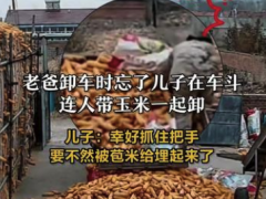儿子卸苞米时险被父亲“活埋” 所幸该男子成功脱险