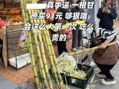 消费者称花91元买一根甘蔗 店主回应 高价绿皮甘蔗引热议