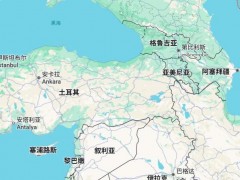 土耳其军方一运输机在格鲁吉亚坠毁 搜救工作紧急展开