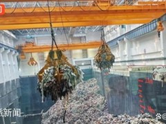 县环卫所招聘不该“只招博士” 资源错配引热议