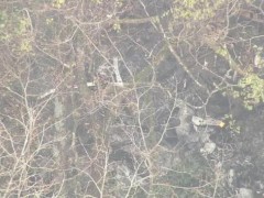 日本一架小型飞机坠毁 3人遇难