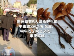 亲属谈5人误食野生菌中毒致3死2伤 悲剧敲响警钟