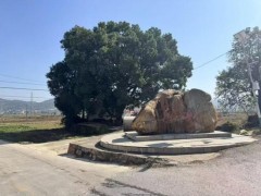 “首席科学家”郭伟的魔幻履历 学术光环下的谎言