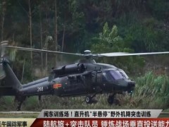 空中突击不再是西方专利 直-20T展实力