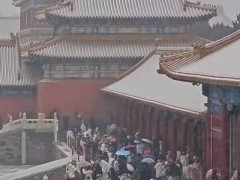 人人人人故宫雪人人人人,有人特意请假赏雪!