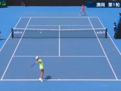 张帅止步澳网女单首轮 决胜盘遗憾落败（图）