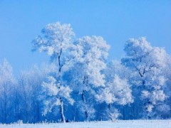 今日大寒 要做这些事 积蓄温暖力量（图）