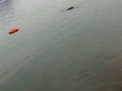 两退伍军人救落水男童一人不幸溺亡 英雄壮举感动人心（图）