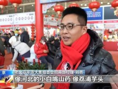 天南地北的年货都来了，300多家摊位吆喝着南北风味